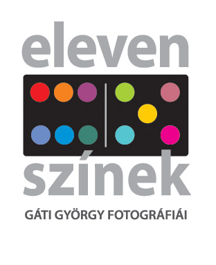 György Gáti: Eleven Színek Logo